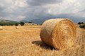 Balla di fieno1